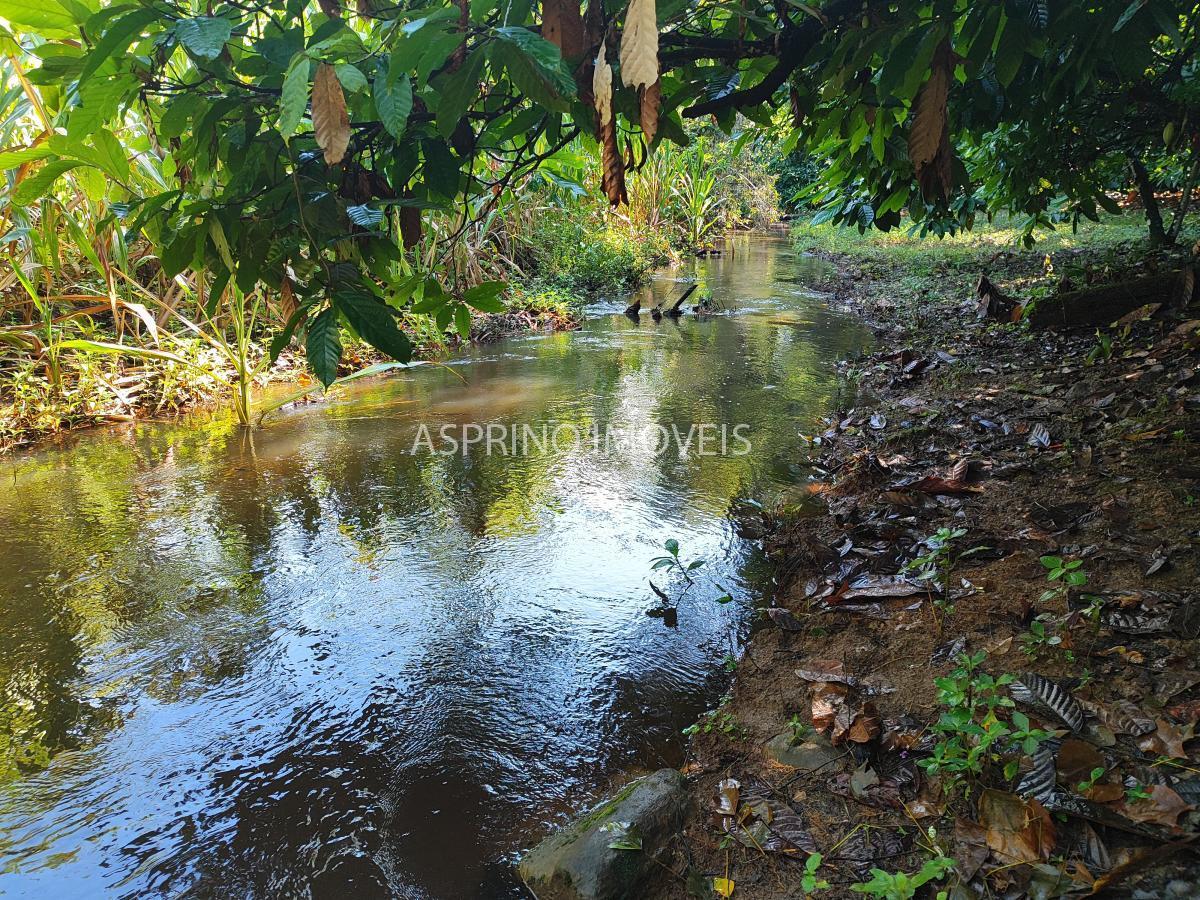 Fazenda à venda, 590000m² - Foto 10