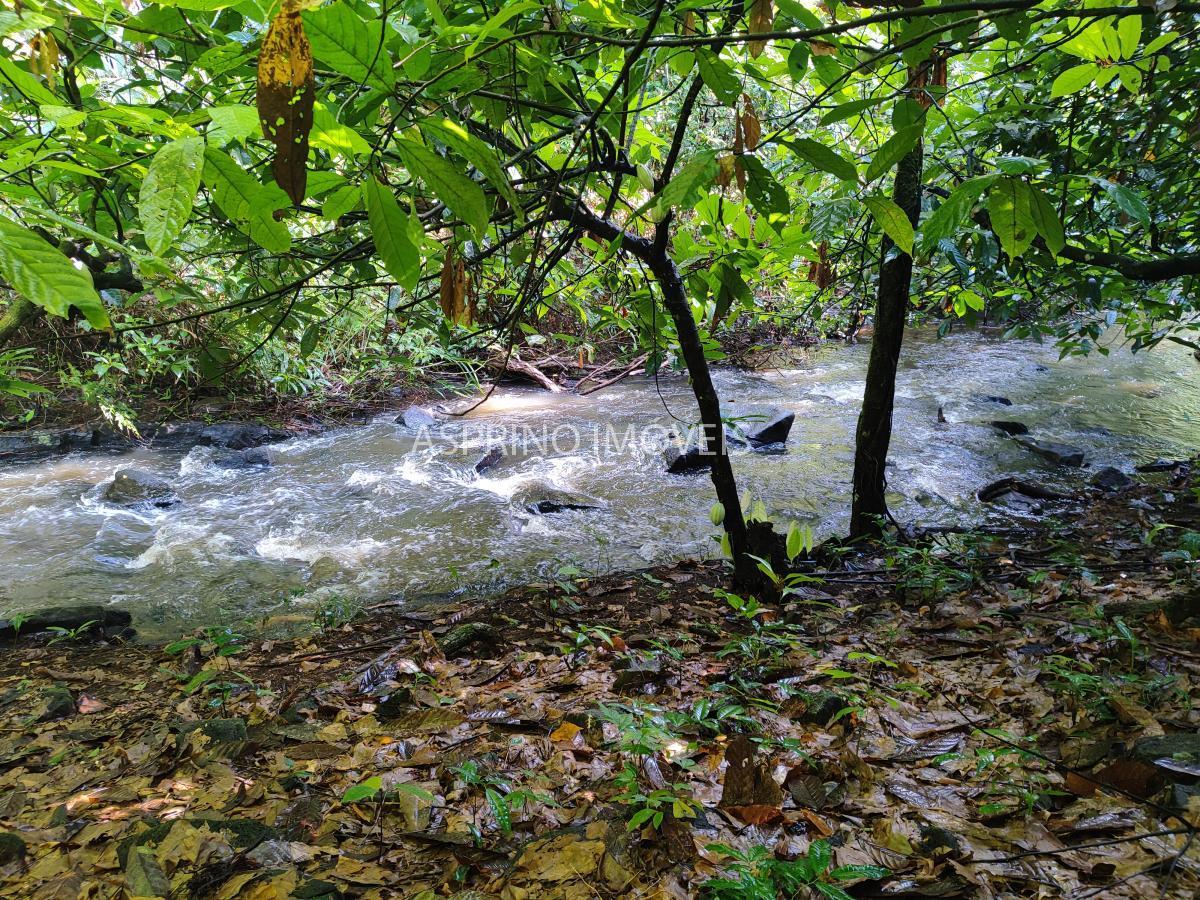 Fazenda à venda, 590000m² - Foto 8