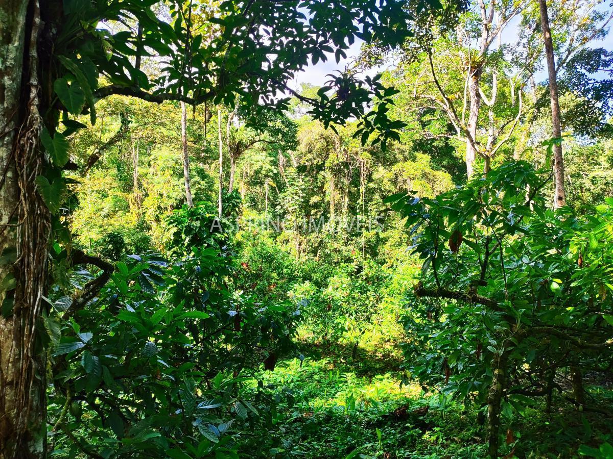 Fazenda à venda, 590000m² - Foto 5