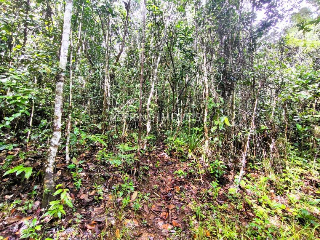 Terreno, 9555 m² - Foto 18