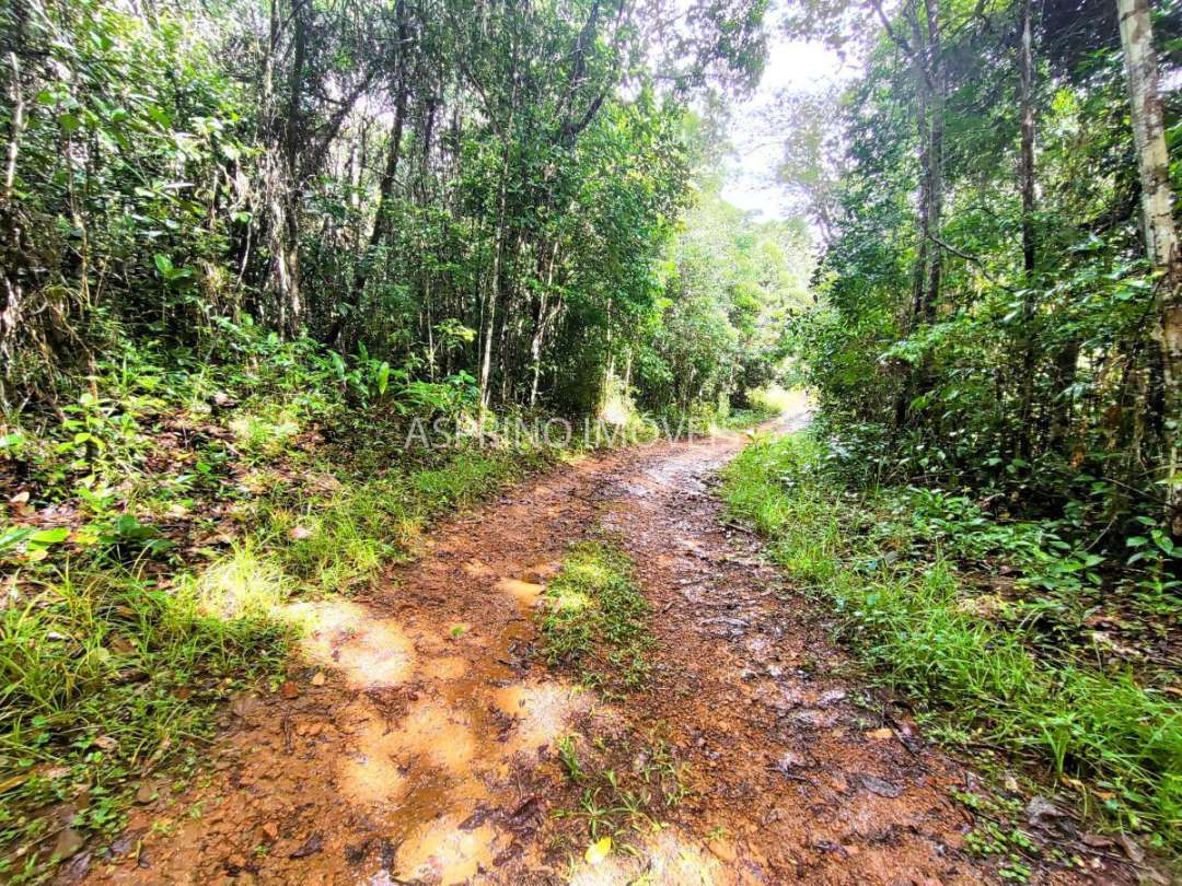 Terreno, 9555 m² - Foto 20