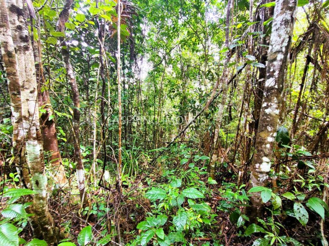 Terreno, 9555 m² - Foto 21