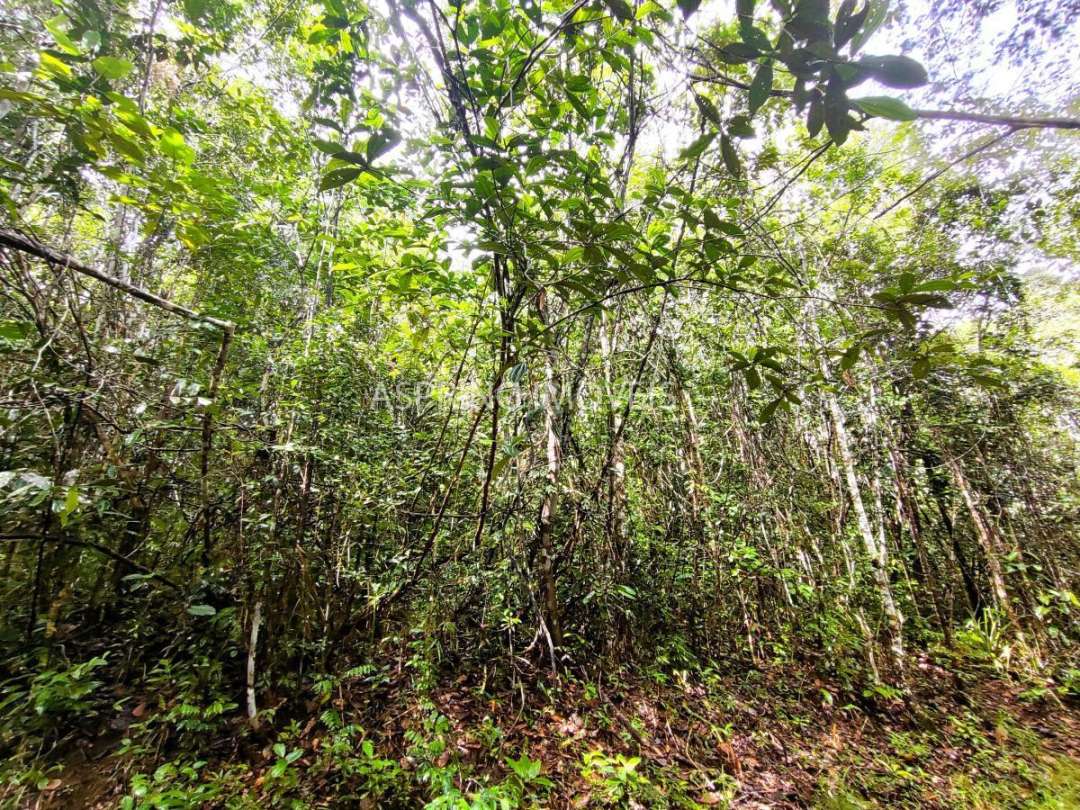 Terreno, 9555 m² - Foto 22