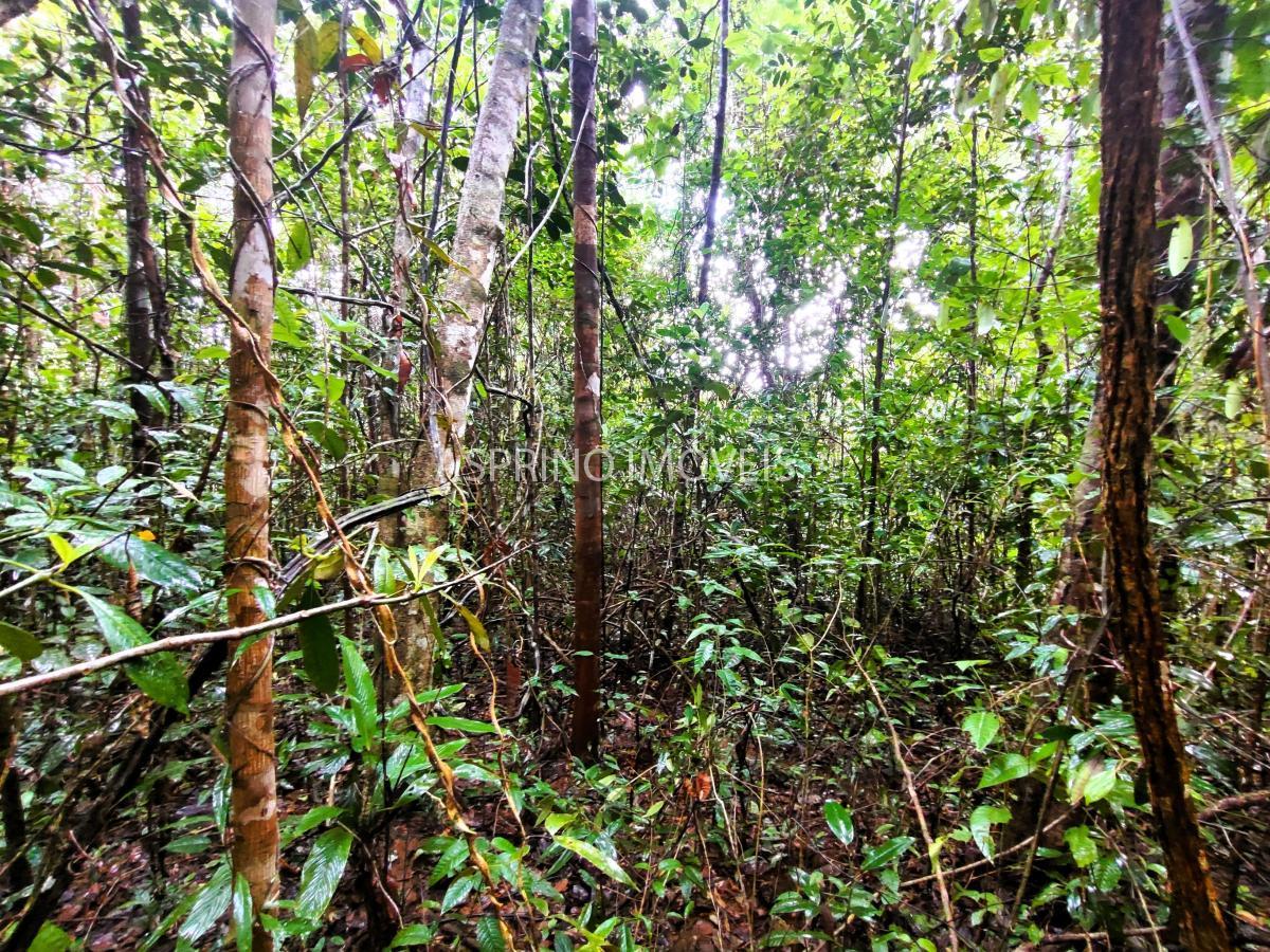 Terreno, 9555 m² - Foto 23