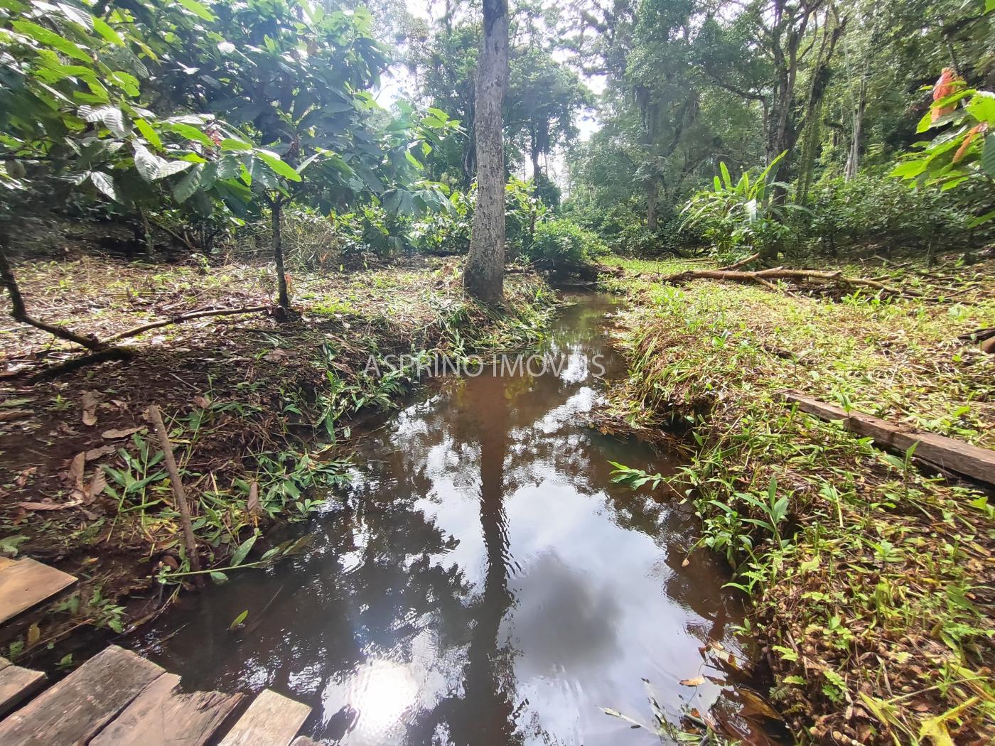 Fazenda à venda, 370000m² - Foto 12