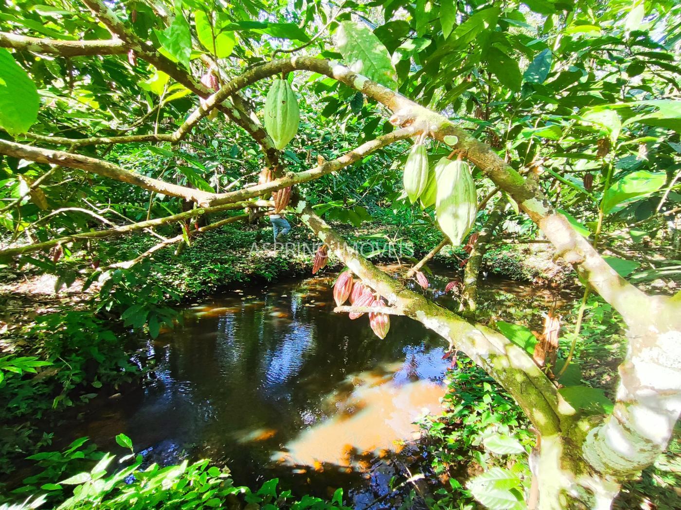 Fazenda à venda, 370000m² - Foto 13