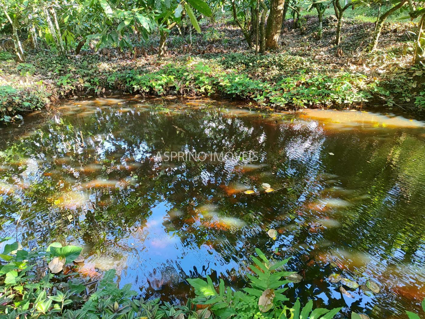 Fazenda à venda, 370000m² - Foto 14