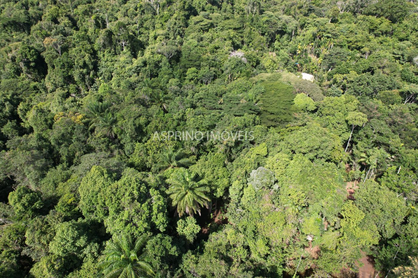 Sítio à venda com 2 quartos, 68000m² - Foto 50