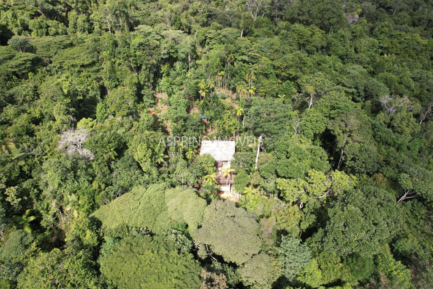 Sítio à venda com 2 quartos, 68000m² - Foto 44