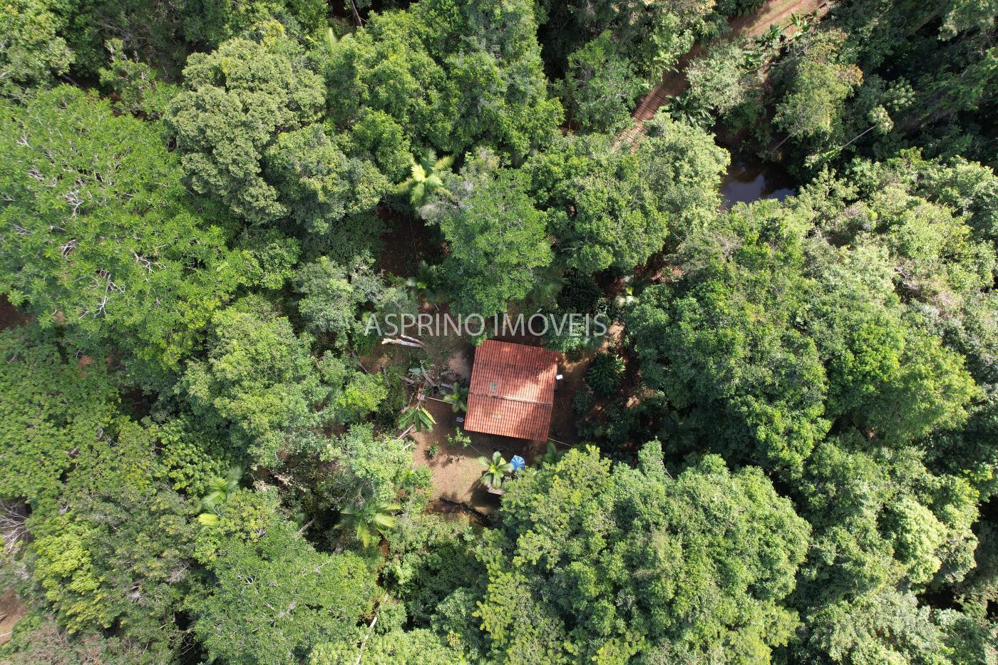 Sítio à venda com 2 quartos, 68000m² - Foto 46