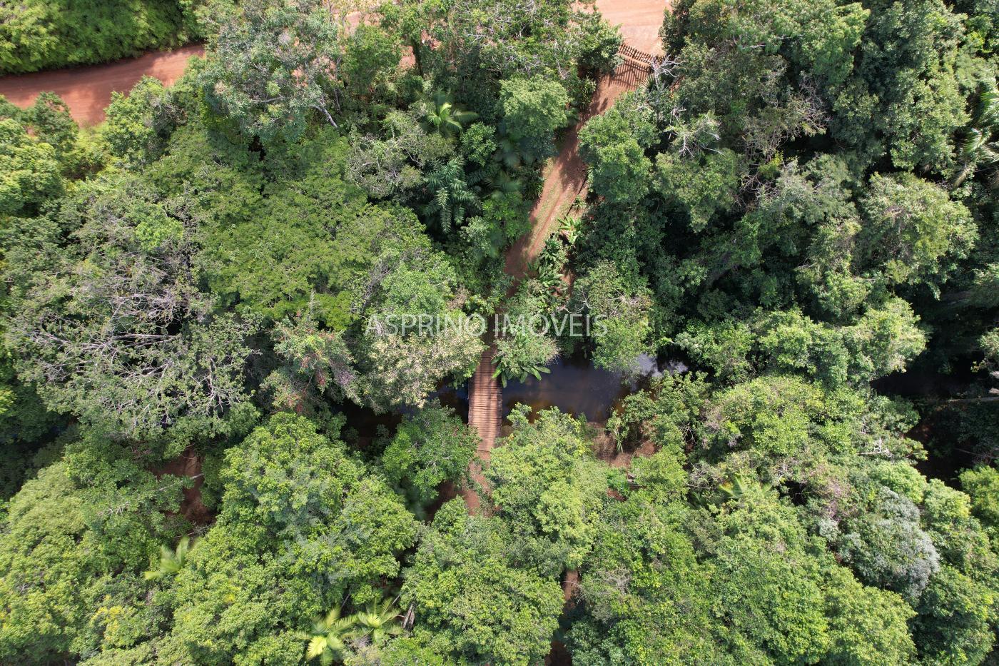 Sítio à venda com 2 quartos, 68000m² - Foto 47