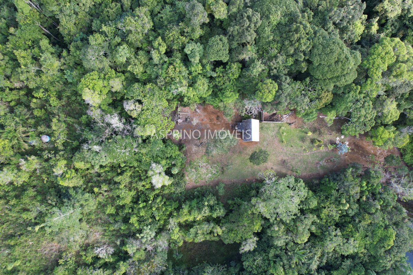 Sítio à venda, 25m² - Foto 4