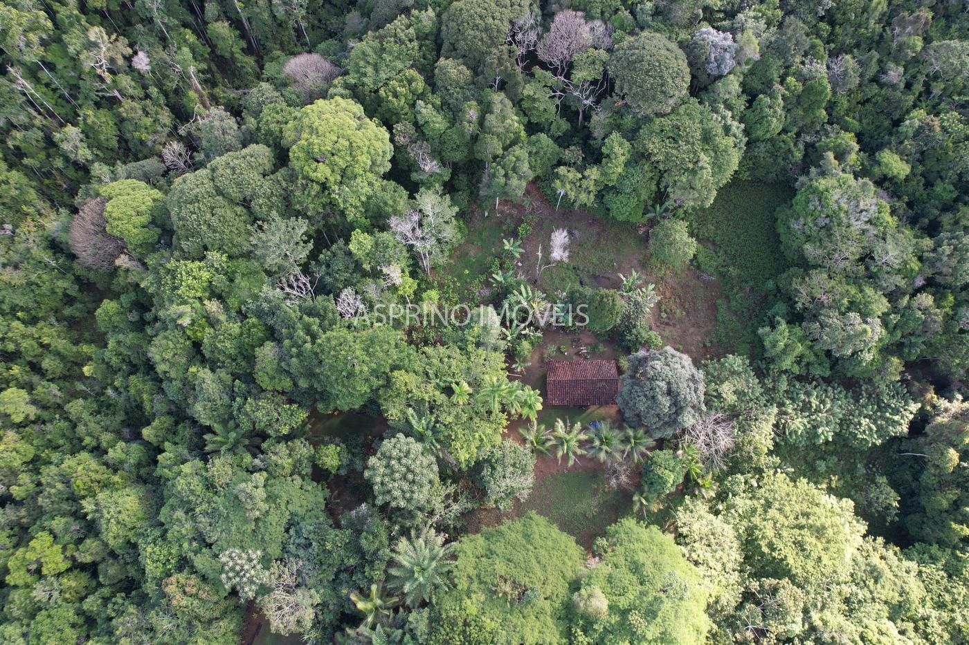 Sítio à venda, 25m² - Foto 24