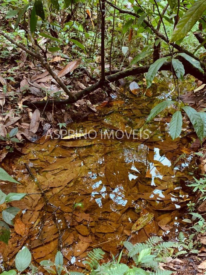 Chácara, 1 m² - Foto 21