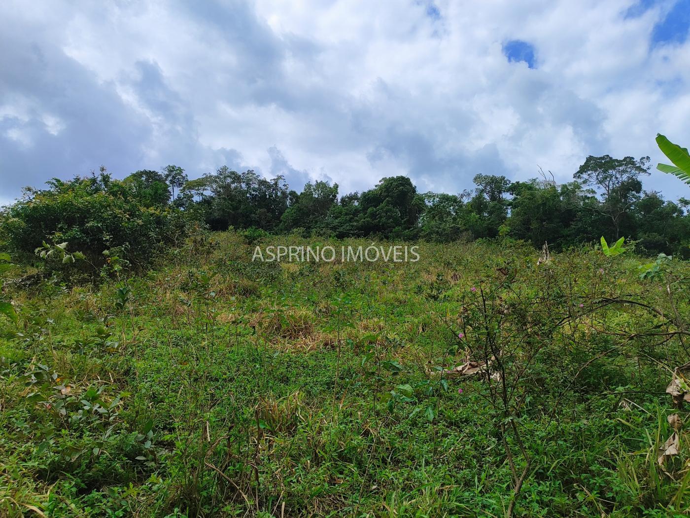 Fazenda à venda, 58m² - Foto 30