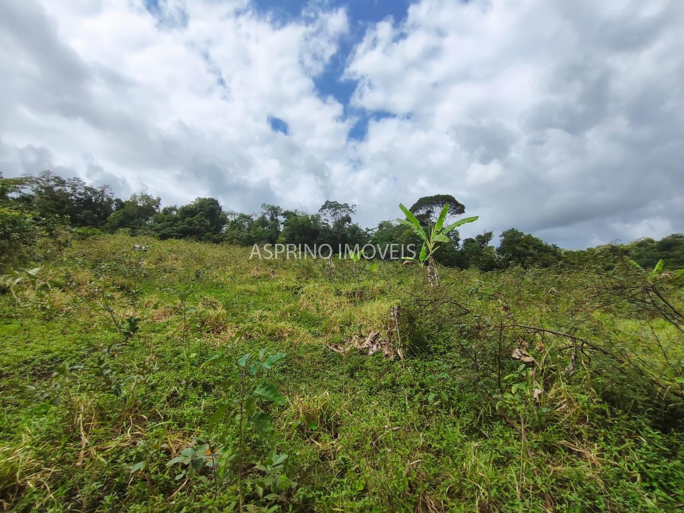 Fazenda à venda, 58m² - Foto 31