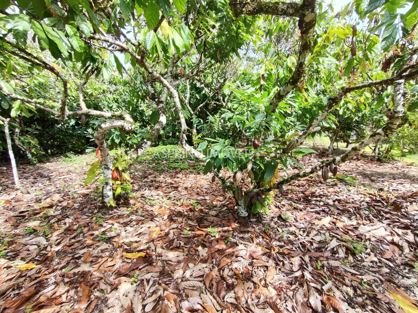Fazenda à venda, 58m² - Foto 14