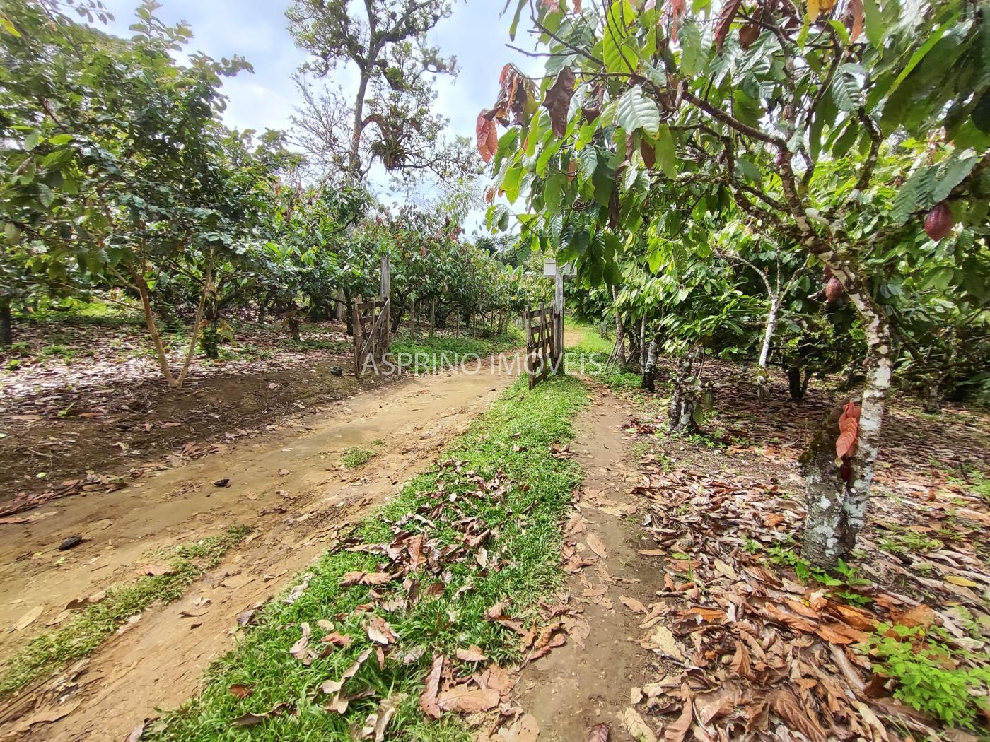 Fazenda à venda, 58m² - Foto 15