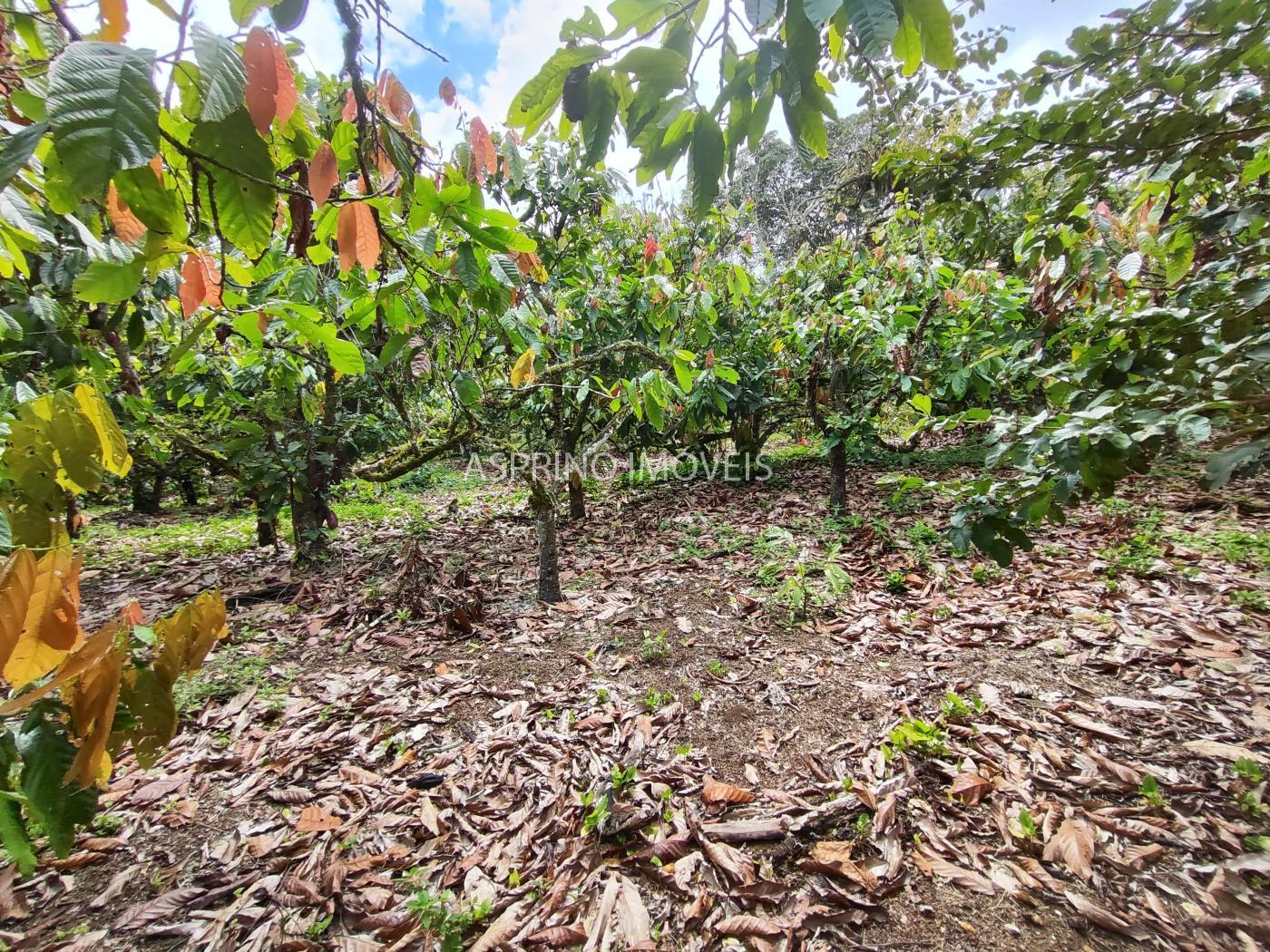 Fazenda à venda, 58m² - Foto 16