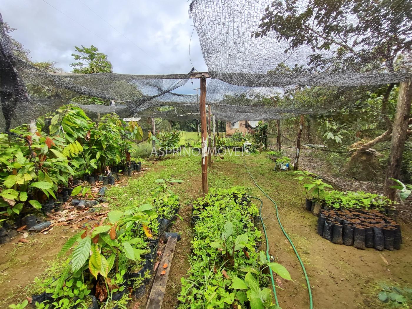 Fazenda à venda, 58m² - Foto 26
