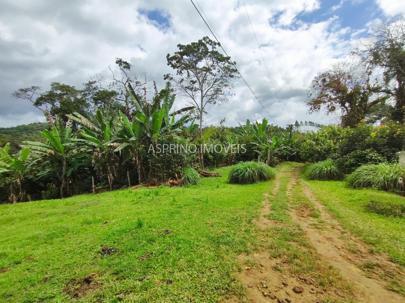 Fazenda à venda, 58m² - Foto 37