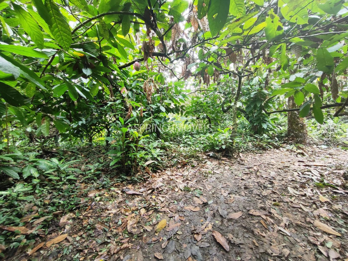 Fazenda à venda, 58m² - Foto 18