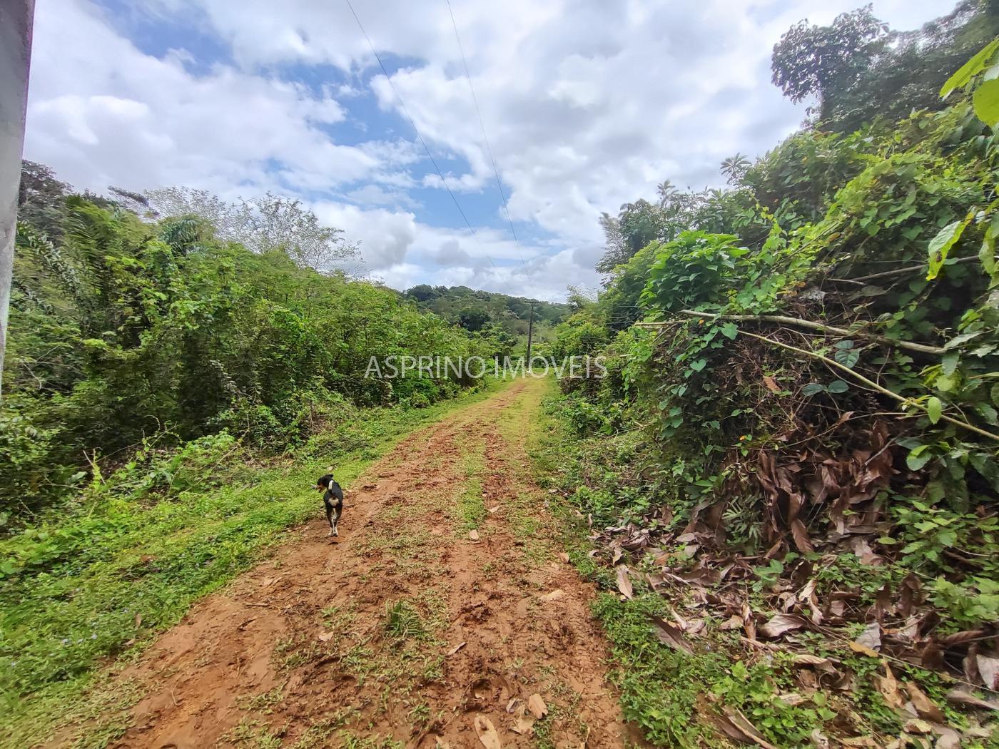 Fazenda à venda, 58m² - Foto 41
