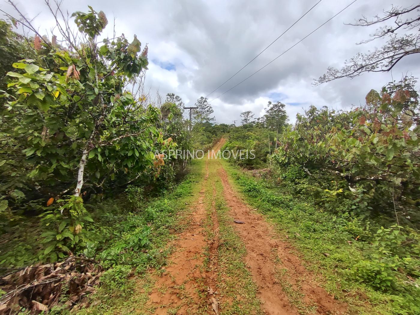 Fazenda à venda, 58m² - Foto 40