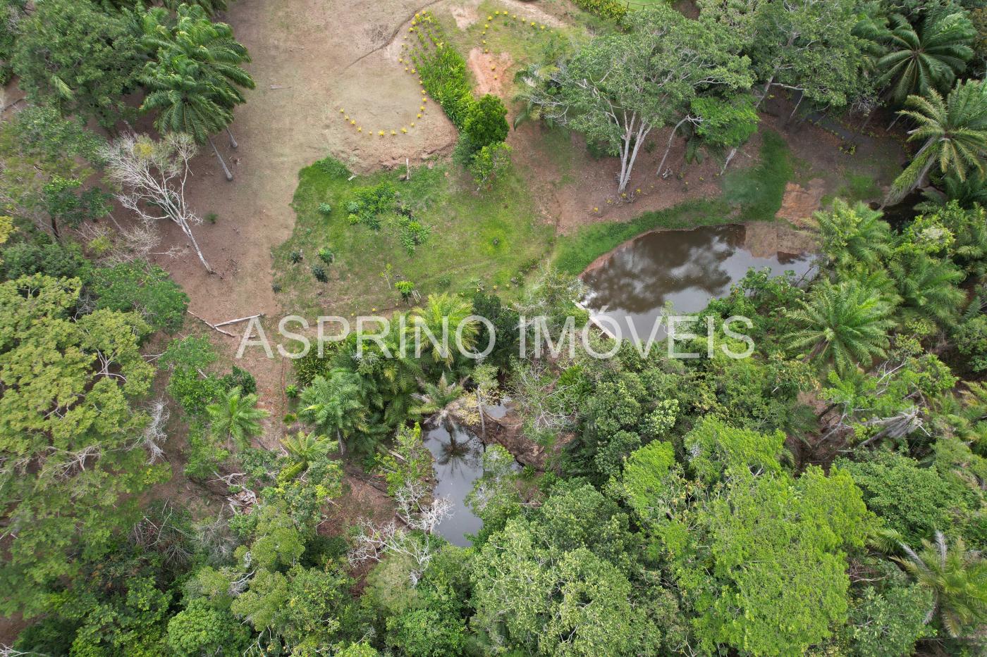 Sítio à venda, 16m² - Foto 17