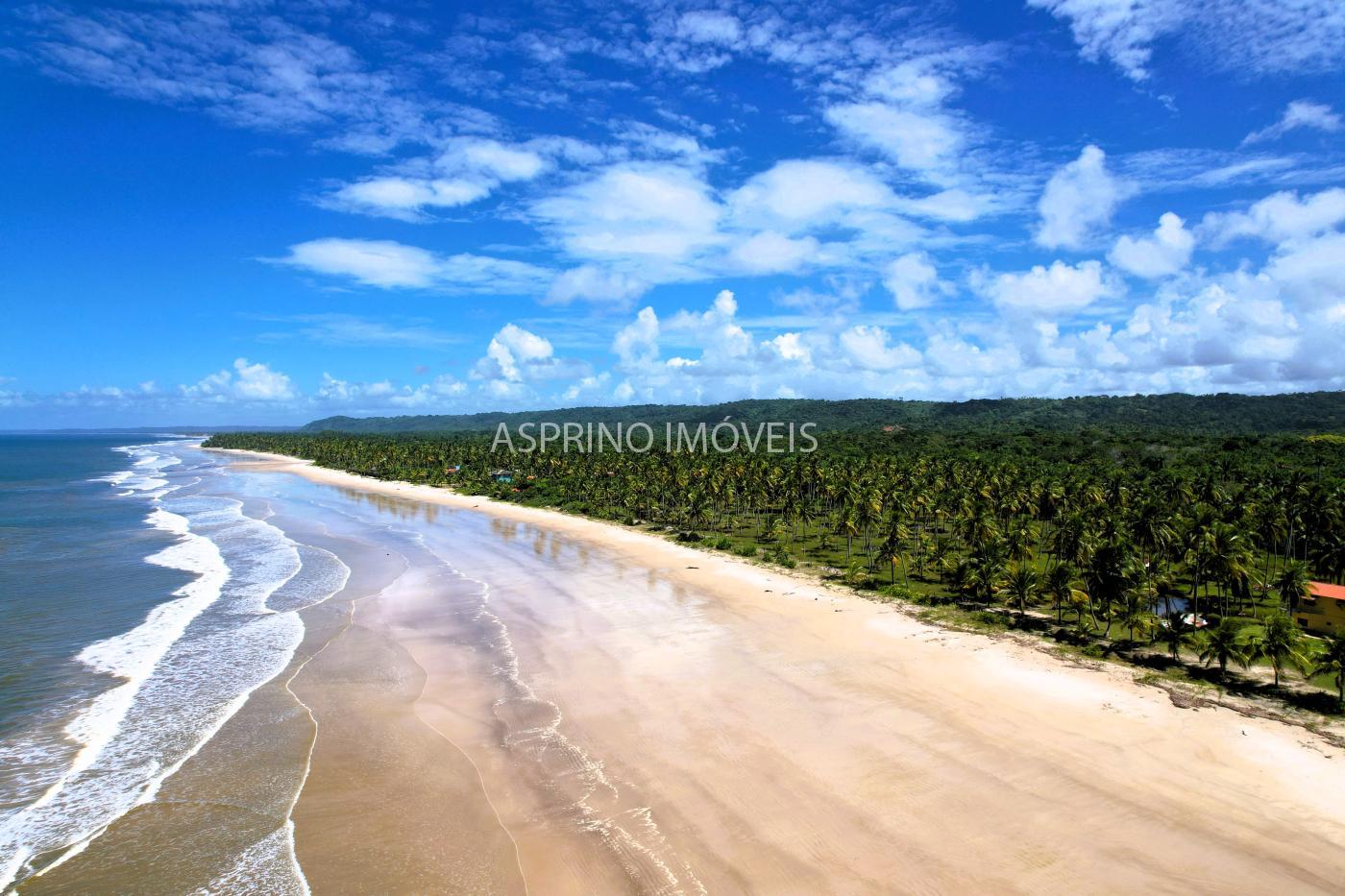 Terreno, 25 hectares - Foto 1