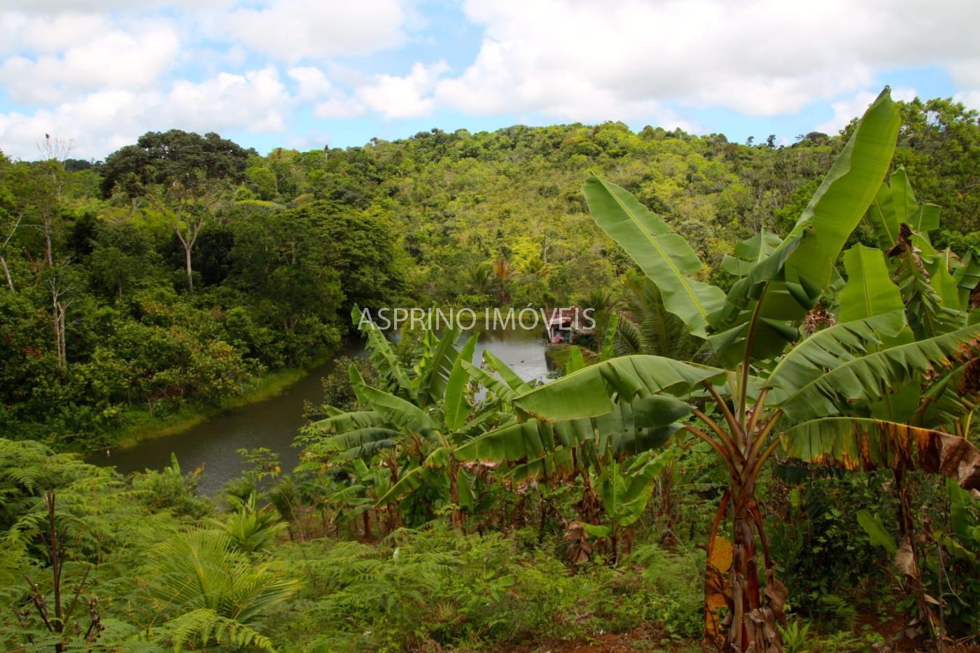 Fazenda à venda, 21m² - Foto 9