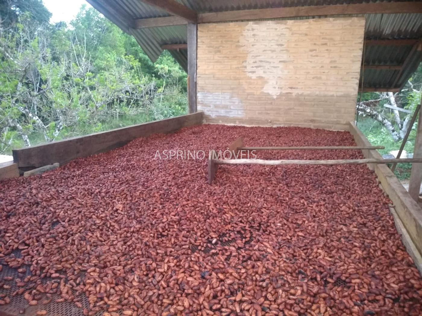 Fazenda à venda, 21m² - Foto 12
