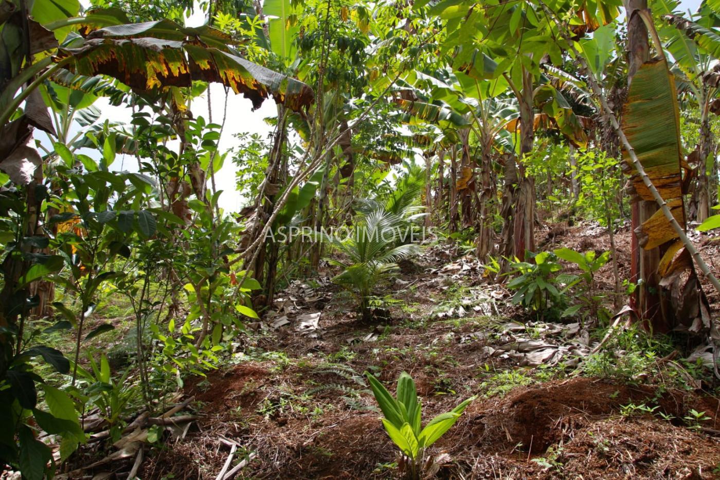 Fazenda à venda, 21m² - Foto 10
