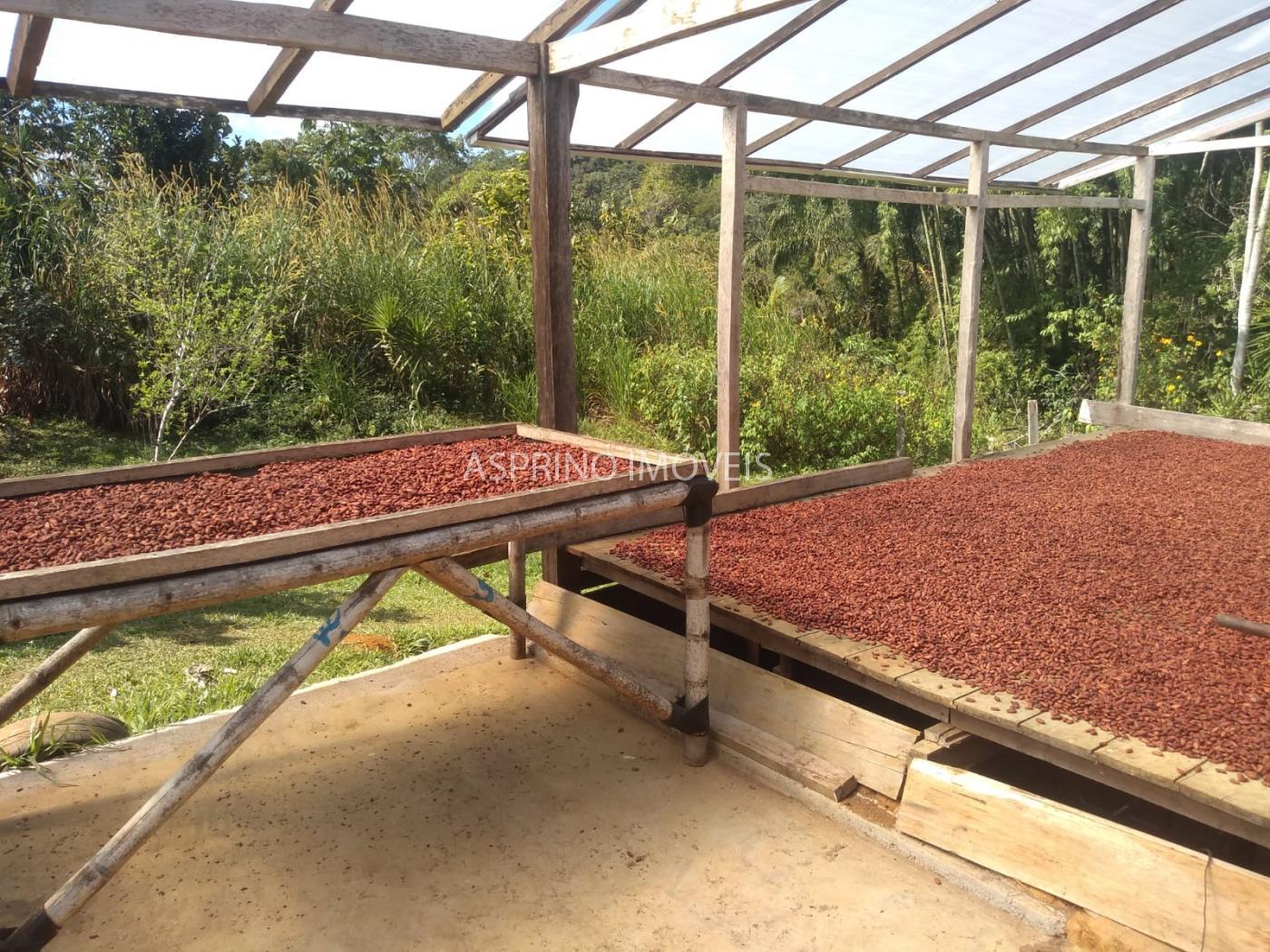 Fazenda à venda, 21m² - Foto 13