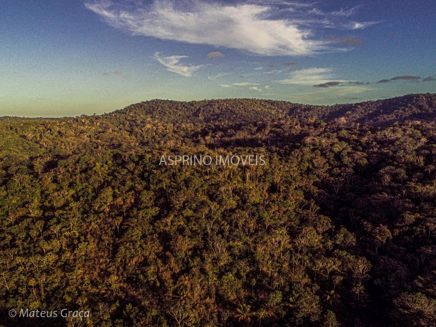 Fazenda à venda, 21m² - Foto 14