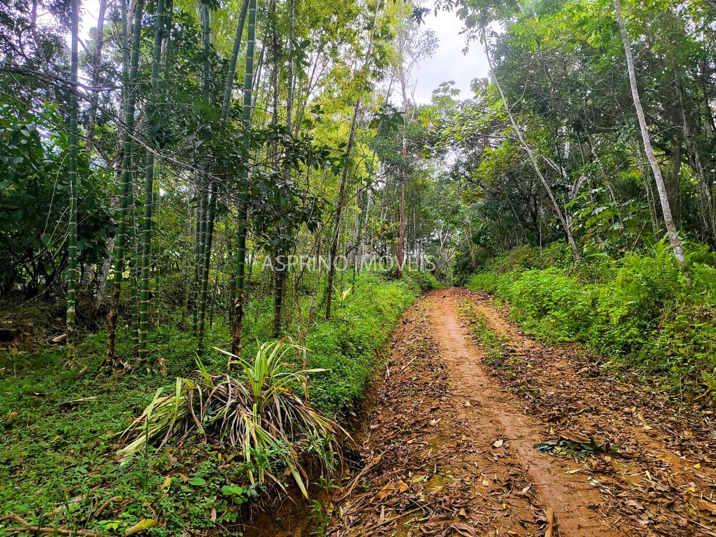 Fazenda à venda, 21m² - Foto 27