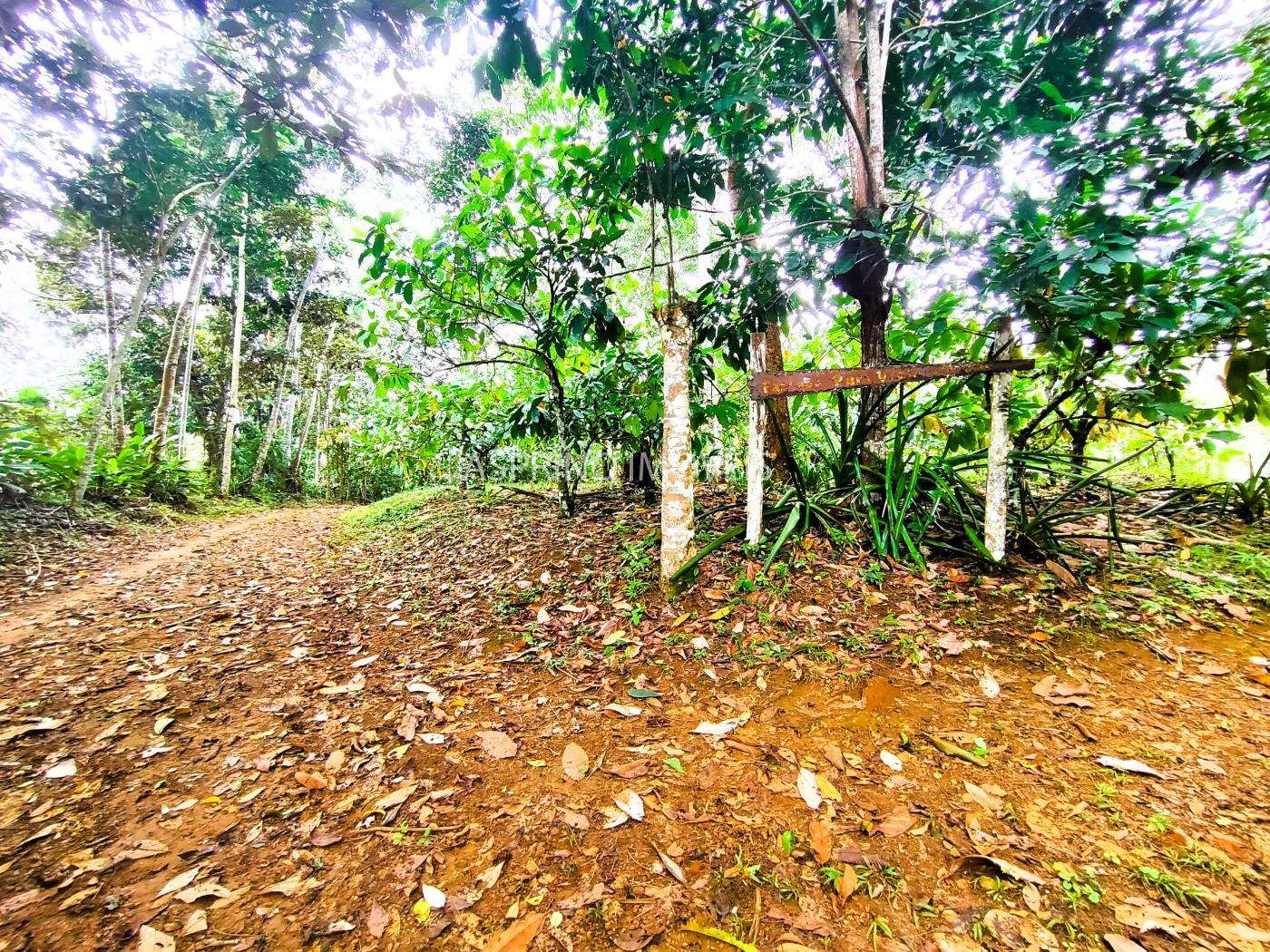 Fazenda à venda, 21m² - Foto 28