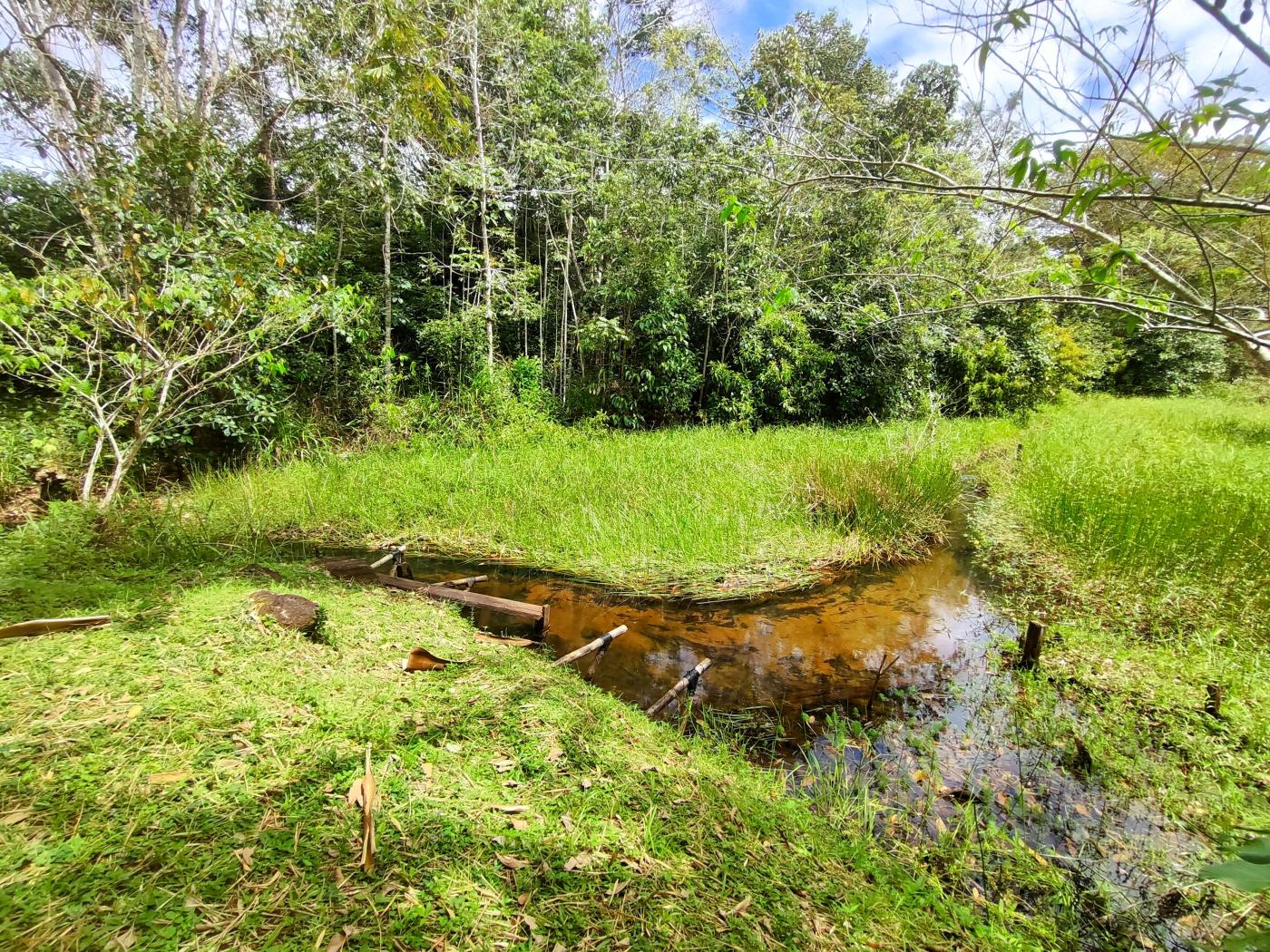 Fazenda à venda, 21m² - Foto 32