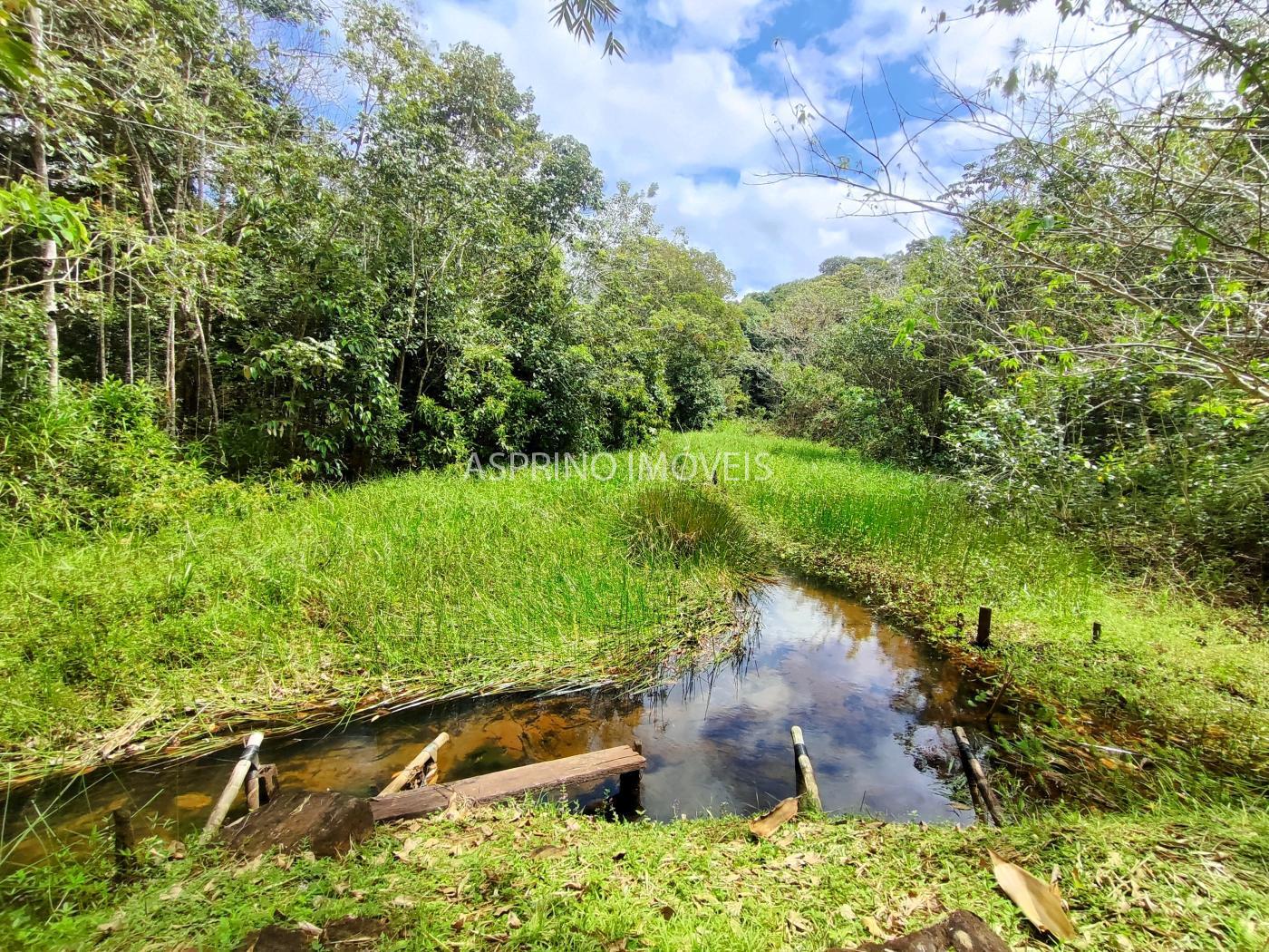 Fazenda à venda, 21m² - Foto 33