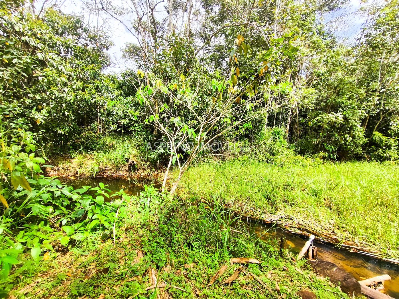 Fazenda à venda, 21m² - Foto 34