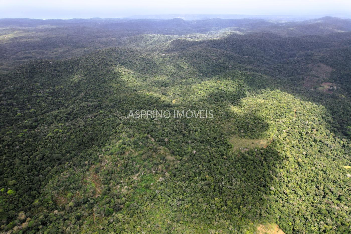 Fazenda à venda, 21m² - Foto 35