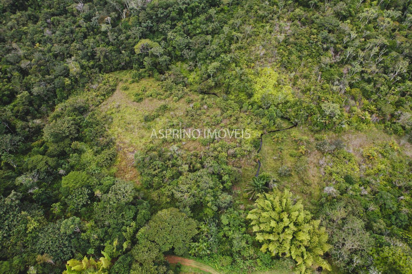 Fazenda à venda, 21m² - Foto 37