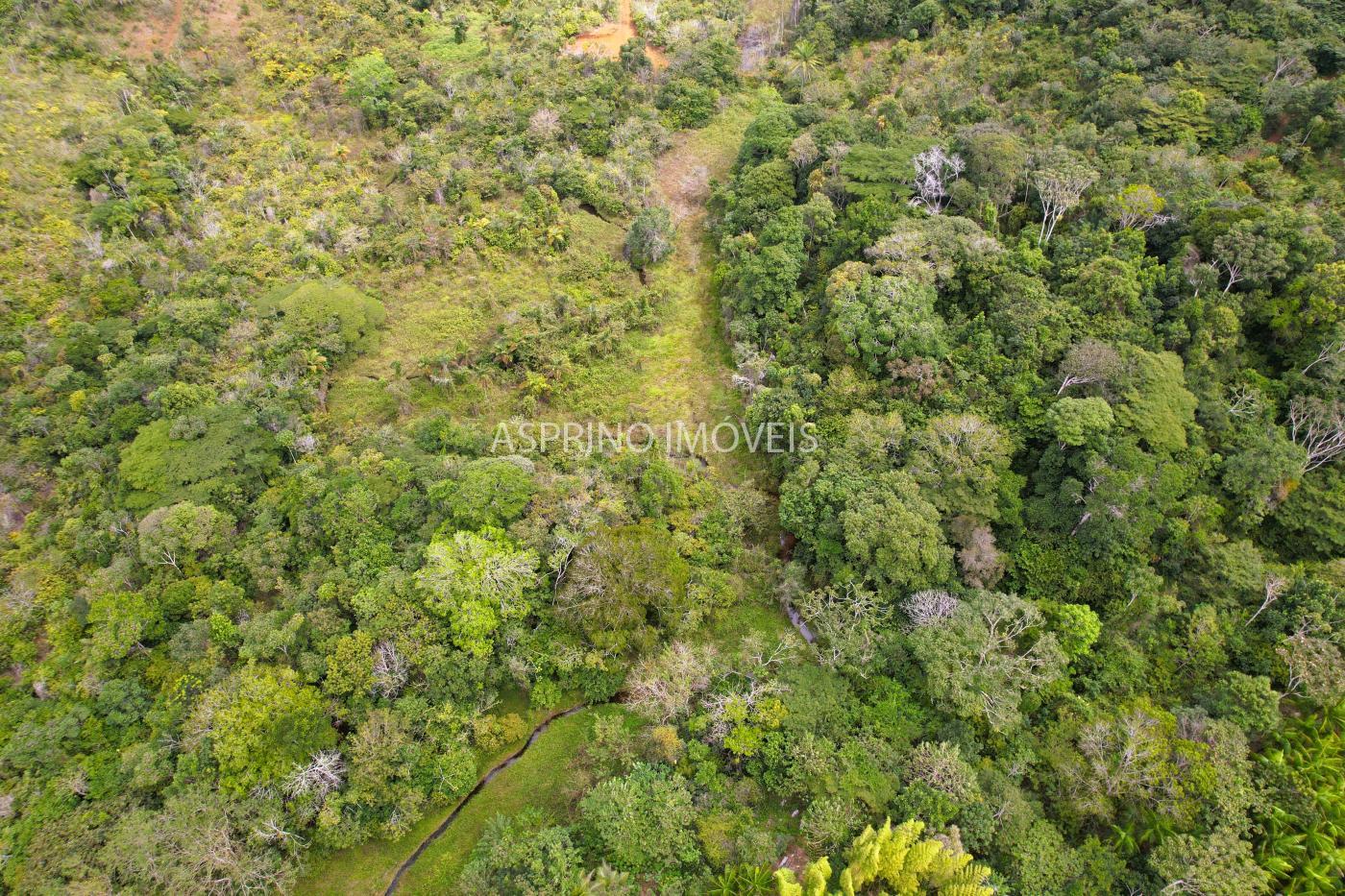 Fazenda à venda, 21m² - Foto 38