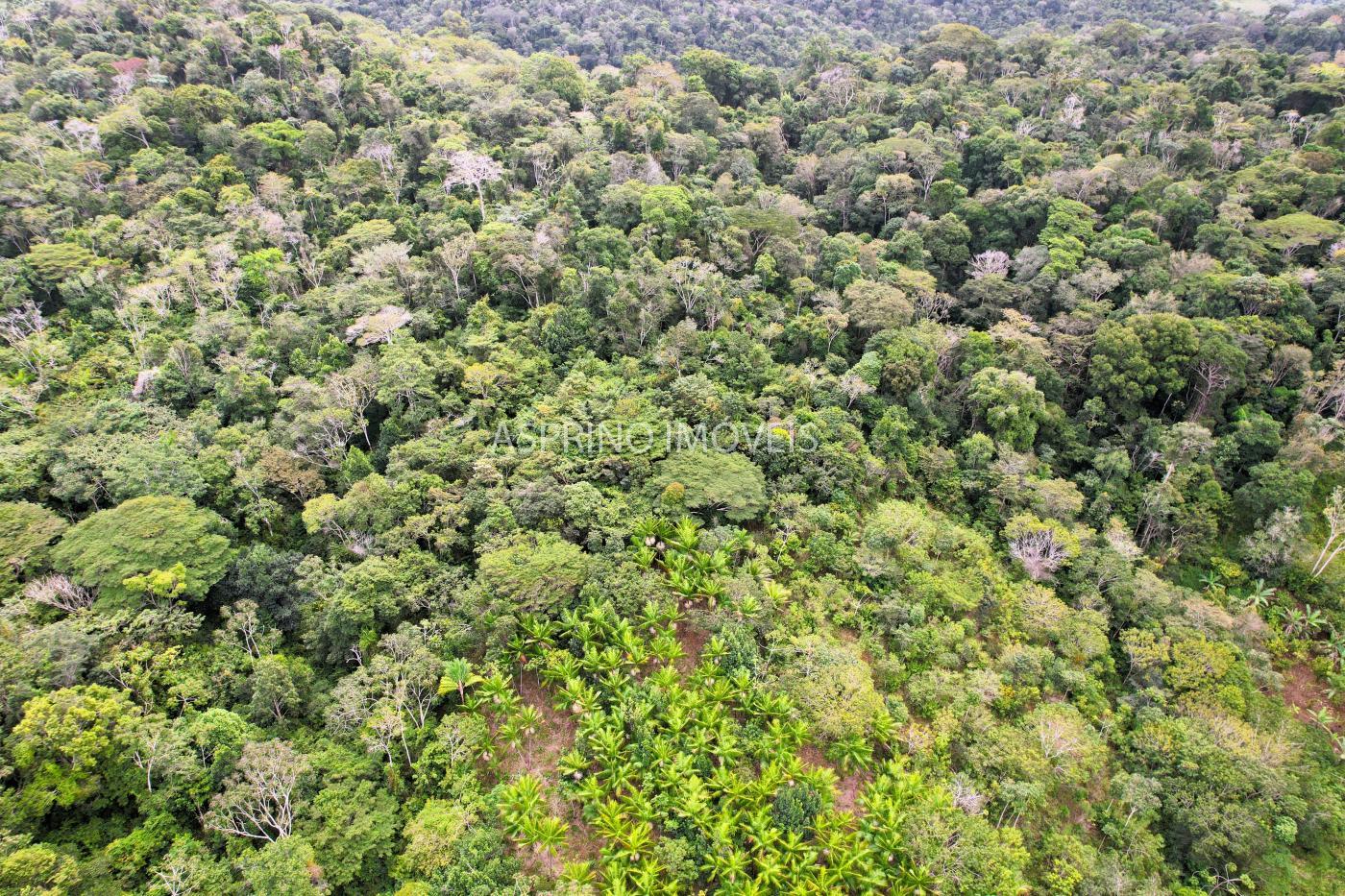 Fazenda à venda, 21m² - Foto 39