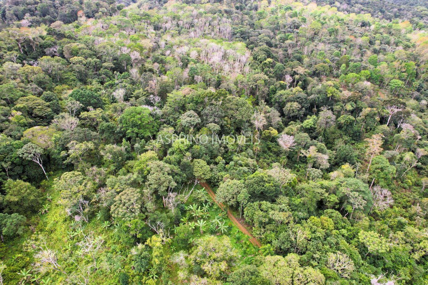 Fazenda à venda, 21m² - Foto 40