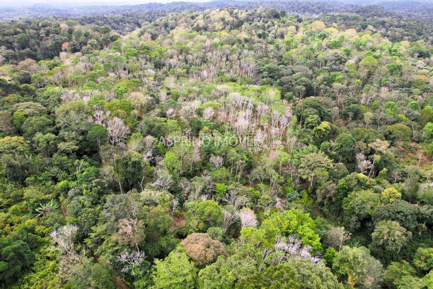 Fazenda à venda, 21m² - Foto 41