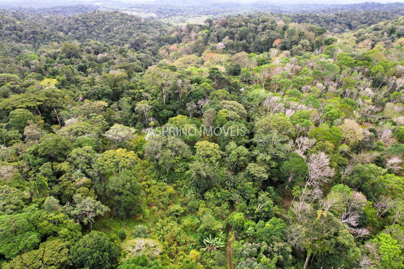 Fazenda à venda, 21m² - Foto 45