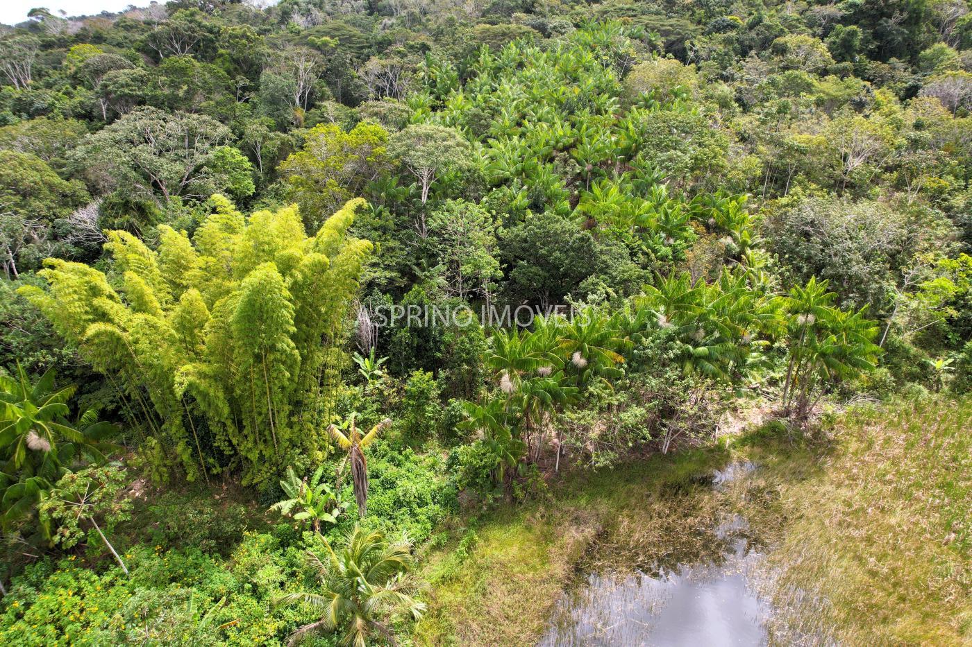 Fazenda à venda, 21m² - Foto 24