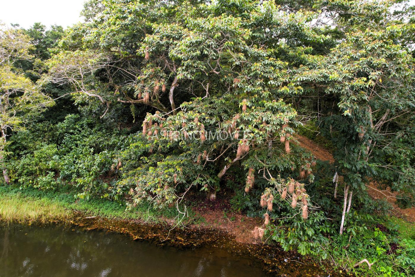 Fazenda à venda, 21m² - Foto 25