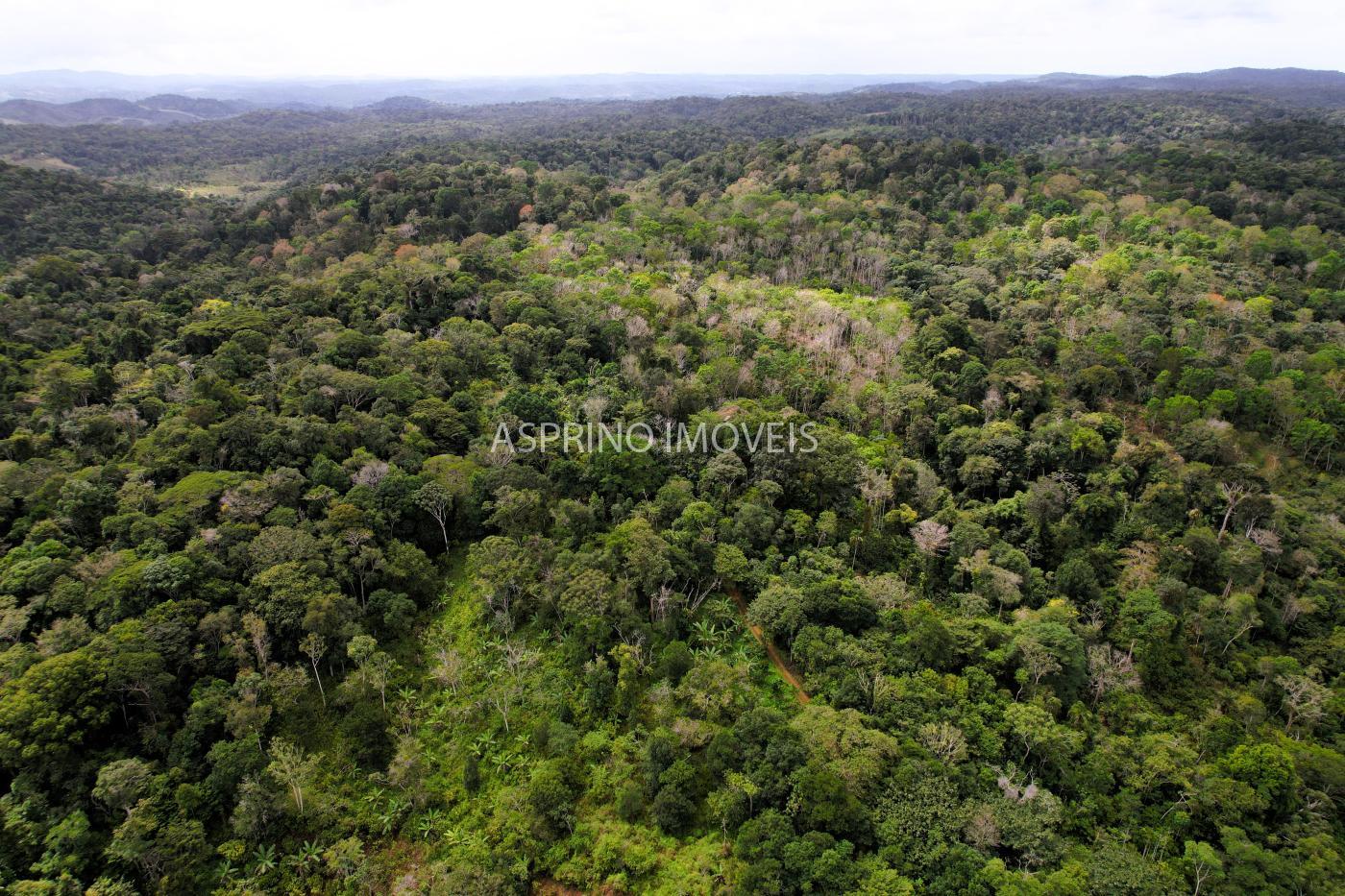 Fazenda à venda, 21m² - Foto 47
